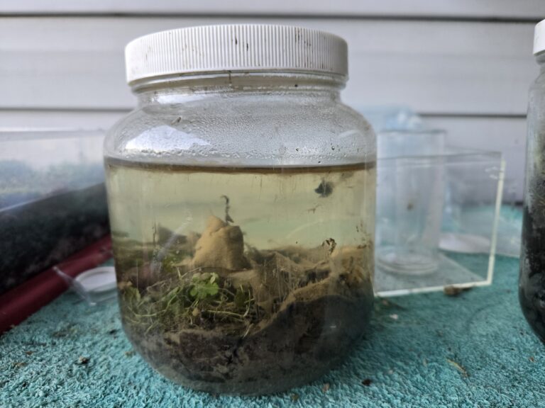 The Grand Experiment