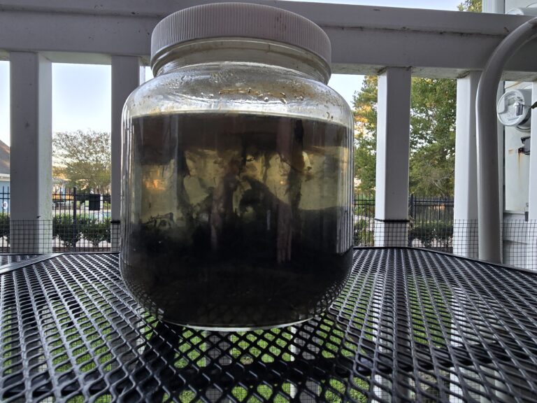 The Apocalypse – Linkhorn Biosphere Log for Oct 7th, 2025